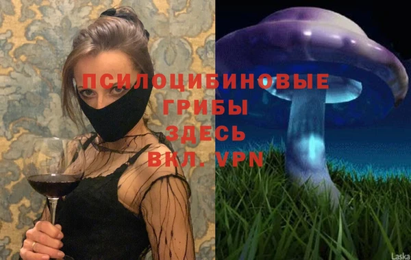 apvp Бугульма