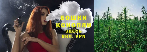 apvp Бугульма